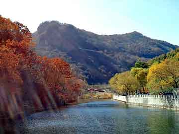 澳门天天免费精准大全，天台seo优化